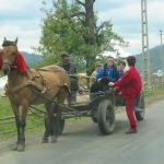 Rural Farm Transport