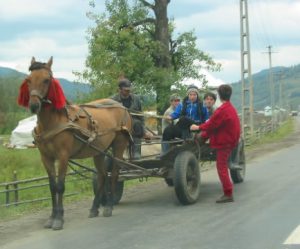 Rural Farm Transport