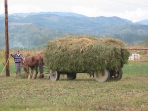 Transylvania Haywagon