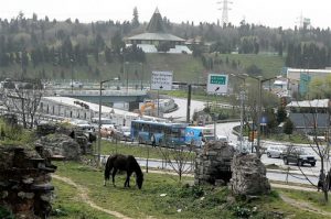 In Istanbul, many Gypsies