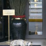 Dog sleeping by 5-star hotel in