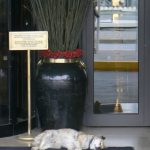 Dog sleeping by 5-star hotel in