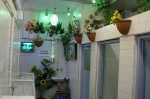 Public restroom with flowers and digital