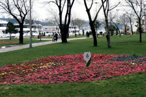 Garden at ferry