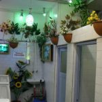 Public restroom with flowers and digital