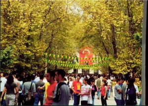 On the campus of Istanbul