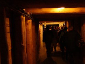 In the Wieliczka Salt