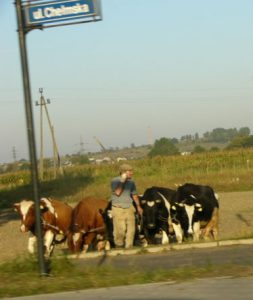 Poland is very rural and agricultural