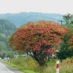 Good roads to Zakopane