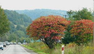 Good roads to Zakopane