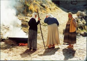 Outdoor kitchen (cooking?)