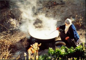 Outdoor kitchen (cooking?)