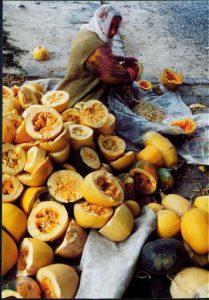 Mustafapasa Scooping out melon seeds for sale. The pulp is fed