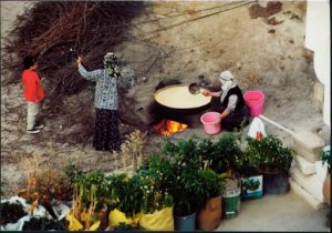 Outdoor kitchen (cooking?)