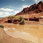 Bolivian desert