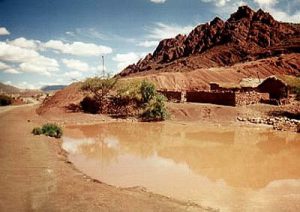 Bolivian desert