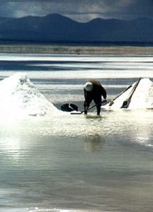 Uyuni Salt Lake shoveling salt