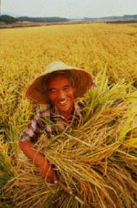 Harvest farmer