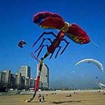 Kites