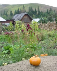 Rural Suceava (Moldovia District)