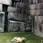 Machu Picchu earthquake damage
