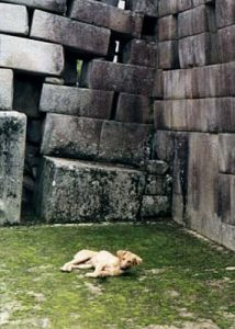 Machu Picchu earthquake damage