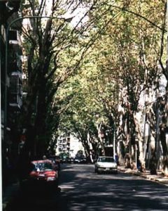 BA downtown shaded street