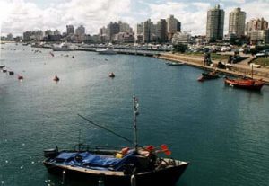 Punta del Este-harbor