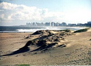 Punta del Este-beach and cityscape