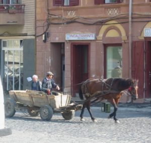 Sighisoara Town Horsecart