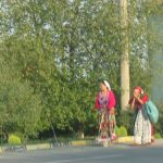 Gypsies (Roma) Along Highway