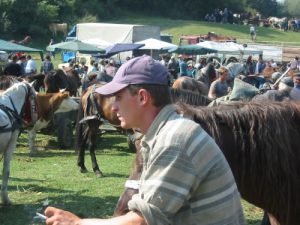 Horse and Cattle Market