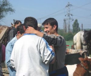 Horse and Cattle Market