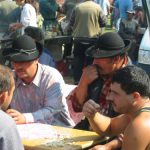 Horse and Cattle Market - Nibbling Sunflower Seeds