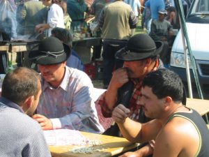 Horse and Cattle Market - Nibbling Sunflower Seeds