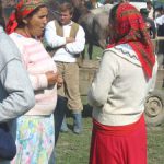 Horse and Cattle Market - Regional Dress