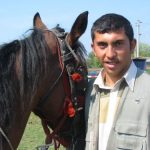 Horse and Cattle Market - Gypsy Guy