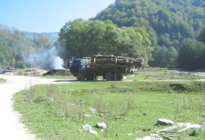 Logging Truck - Oraste Valley