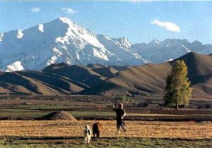 Farmer and mountains