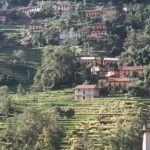 Terraced Village