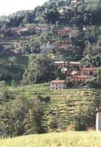 Terraced Village