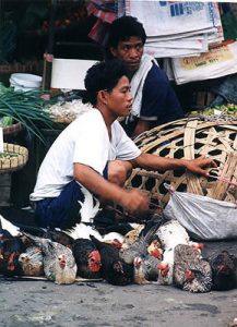 Cebu chicken vendor