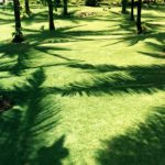 Mactan Island shadows