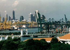 Harbor cranes and skyscrapers