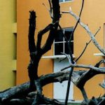 Artful colors on school building