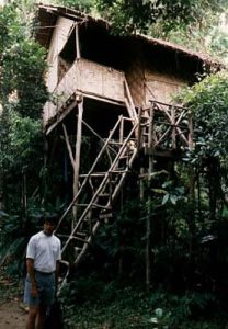 Tree Tops Guesthouse