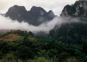 Tree Tops Guesthouse view