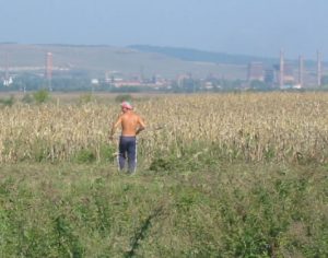 Calan - Harvest & Abandoned State Factory