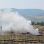 Post Harvest Field Burning