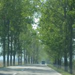 Typical Highway scene
